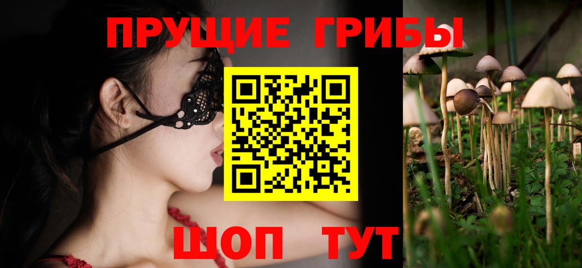Галлюциногенные грибы мухоморы  Галлюциногенные грибы MAGIC MUSHROOMS  Вход с VPN  Рассказово 